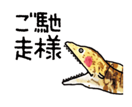 504992392