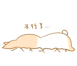 5049931