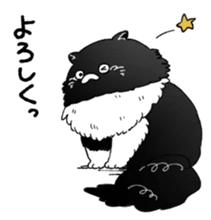 505003850