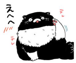 505003853