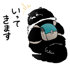 505003855