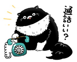 505003874