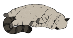 505003881