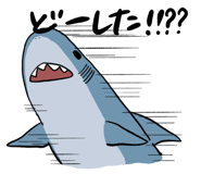 505006980