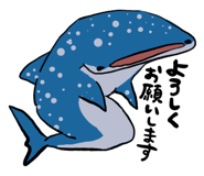505006982