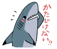 505006987