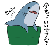 505006998