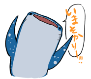 505007009