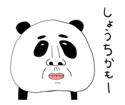 505008471