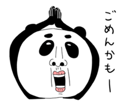 505008475