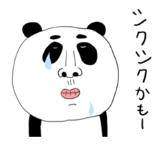 505008484
