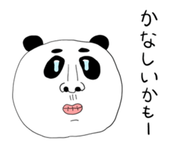 505008485