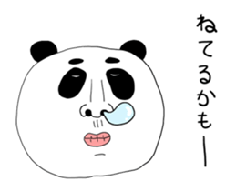 505008491