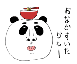 505008493