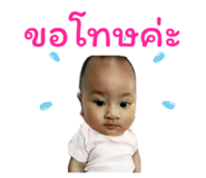 505009377