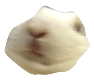 505011050