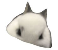 505011051