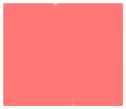 505014168