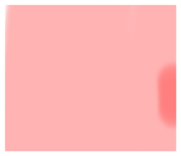 505014169