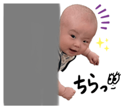505019945