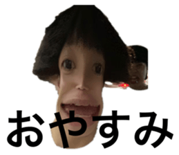 505030453