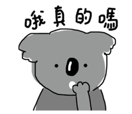 505036171