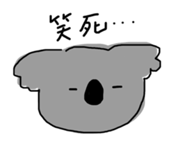505036172