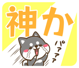 505047573
