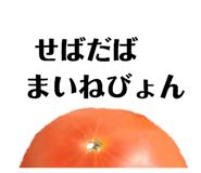 505050390