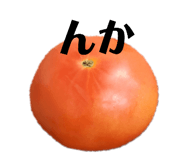 505050395