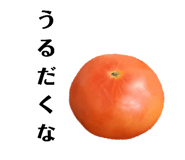 505050400
