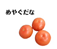 505050401