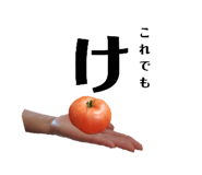 505050402