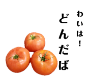 505050403