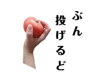 505050404