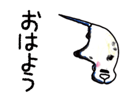 505050934