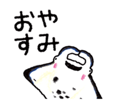 505050935