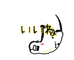 505050937