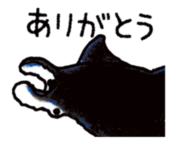 505050939