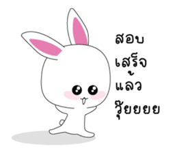 505050950