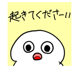 505052934