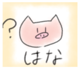 505053648