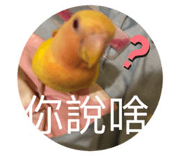 505056669