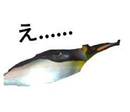 505063202