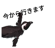 505063203