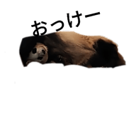 505063204