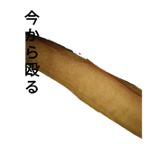 505063205