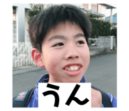 505064403