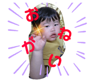 505076339