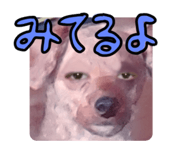 505108870